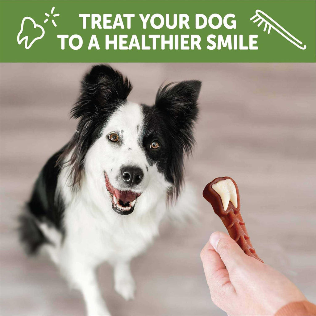 Dental Treats Y76422