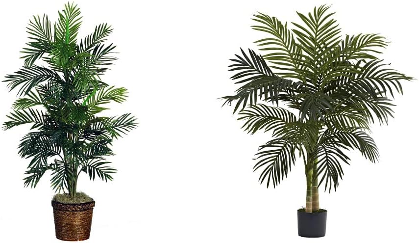 Areca Palm Silk Tree with Basket A89982
