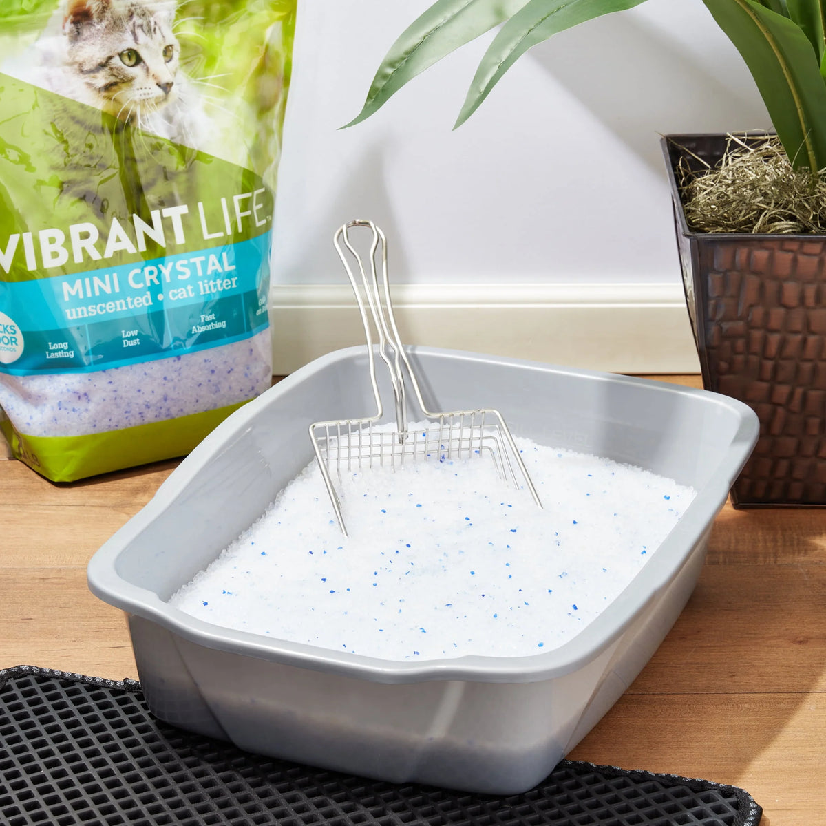 Mini Unscented Cat Litter 8 lb H5056