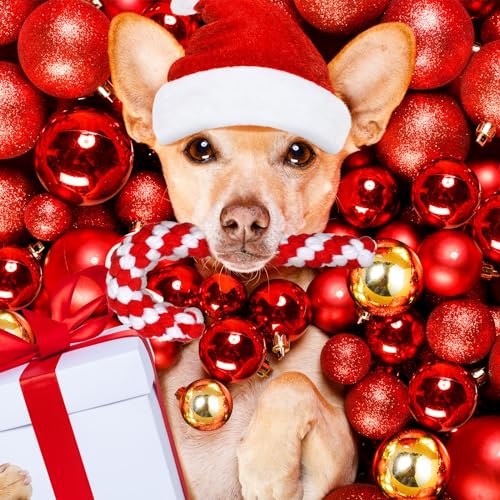 24 Pieces Christmas Dog Rope Toys Y88318