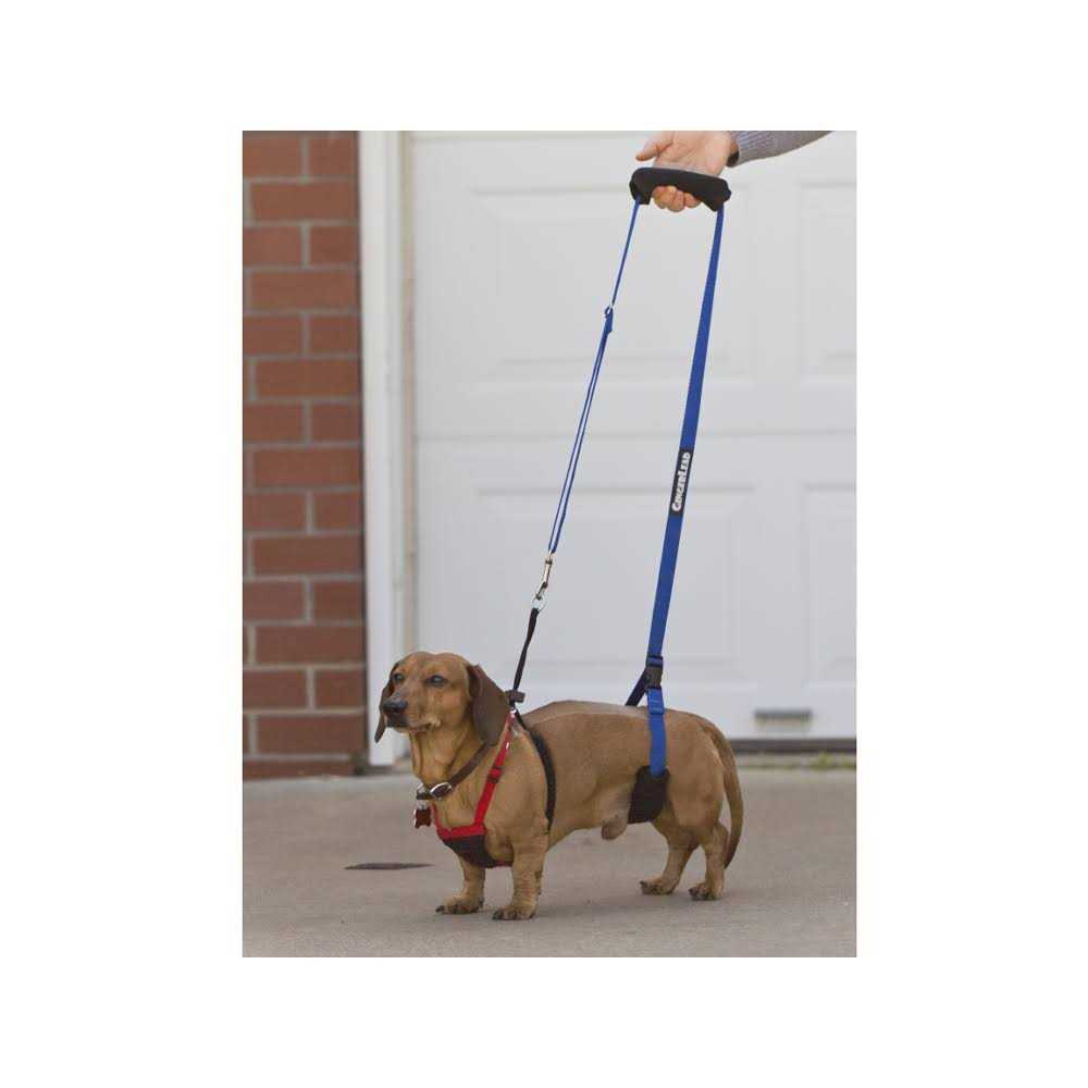 Dog Support Rehabilitation Harness D802385