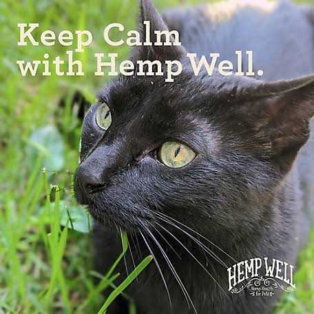 Calm Cat Pet Supplies Y983