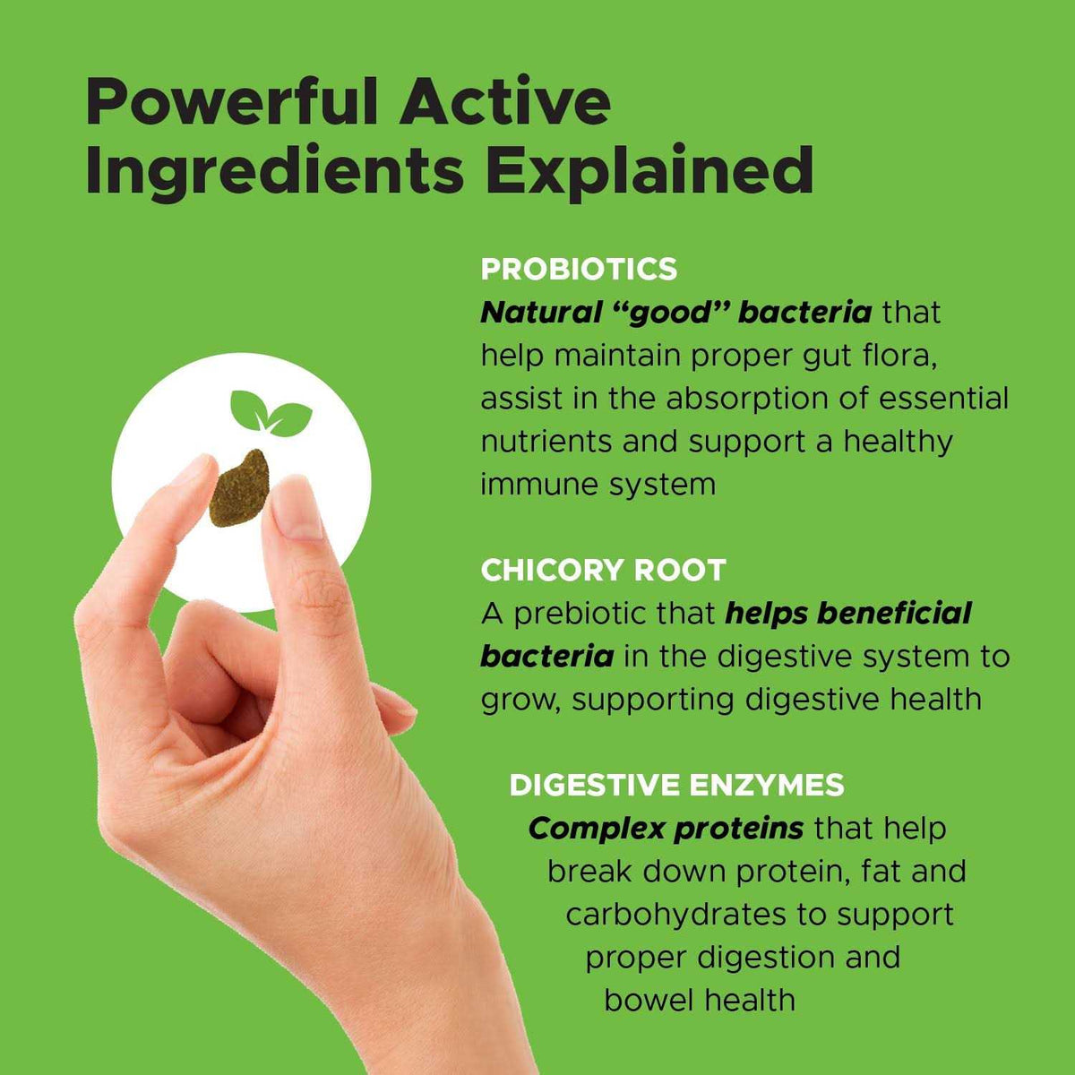 Probiotics for Dogs Digestive Enzymes S30574
