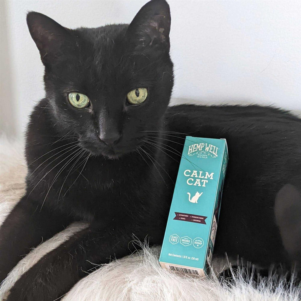 Calm Cat Pet Supplies Y983