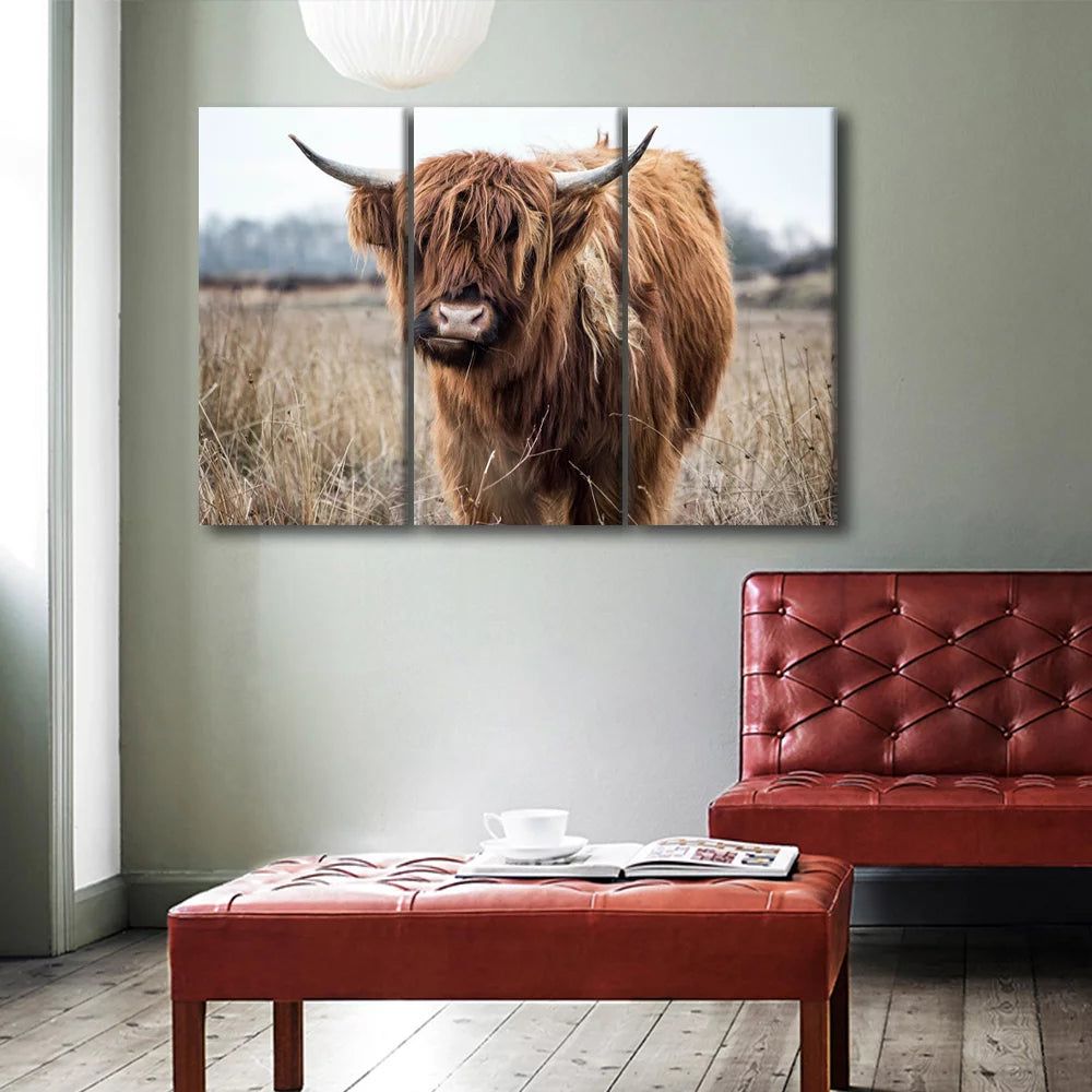 3PCS Framed Canvas Wall Art Set O485