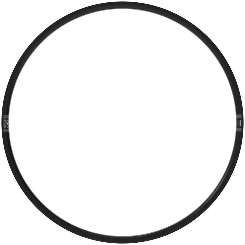 Black 29" Disc Rim N205