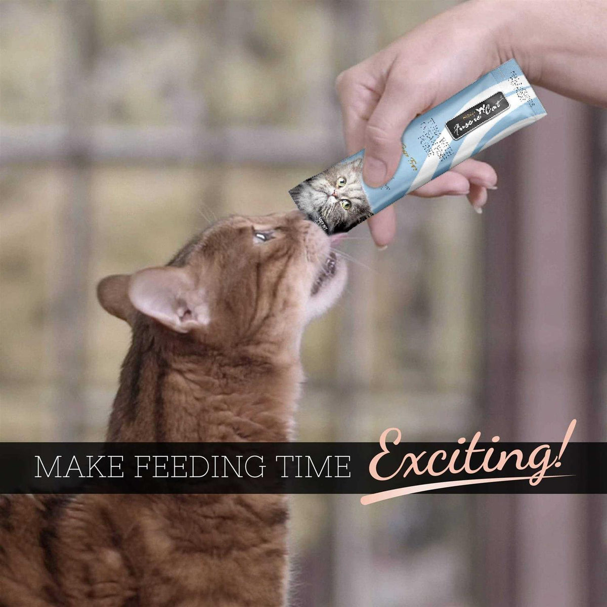 Tuna Cat Puree B8124