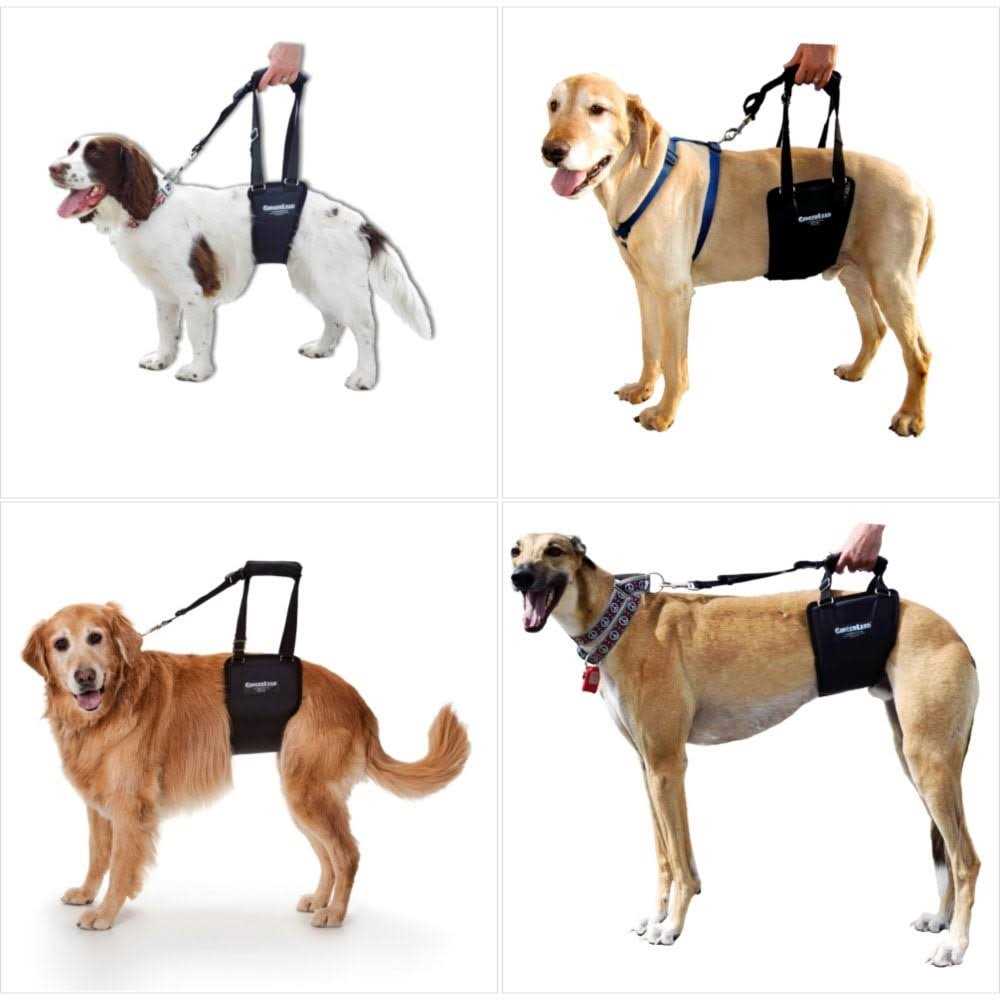 Dog Support Rehabilitation Harness D802385
