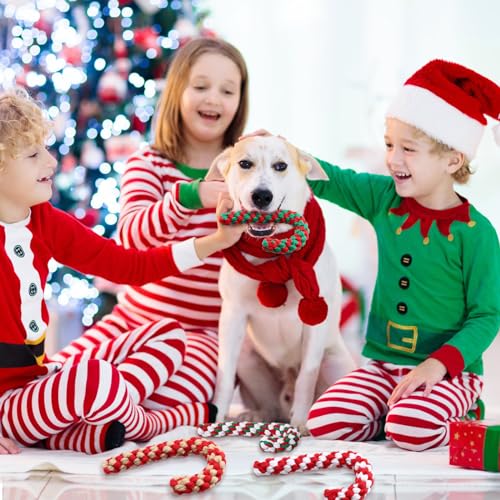 24 Pieces Christmas Dog Rope Toys Y88318
