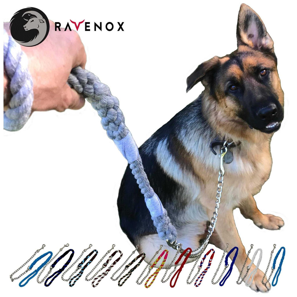 Dog Leash with Chain L104