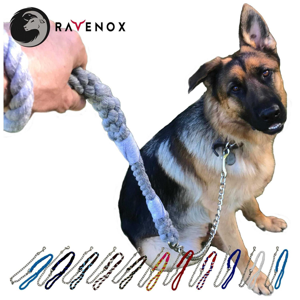 Dog Leash with Chain L104