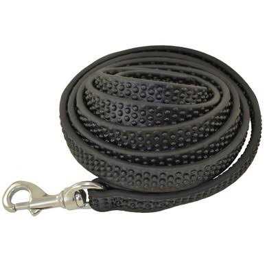 Biothane Leashes Q410