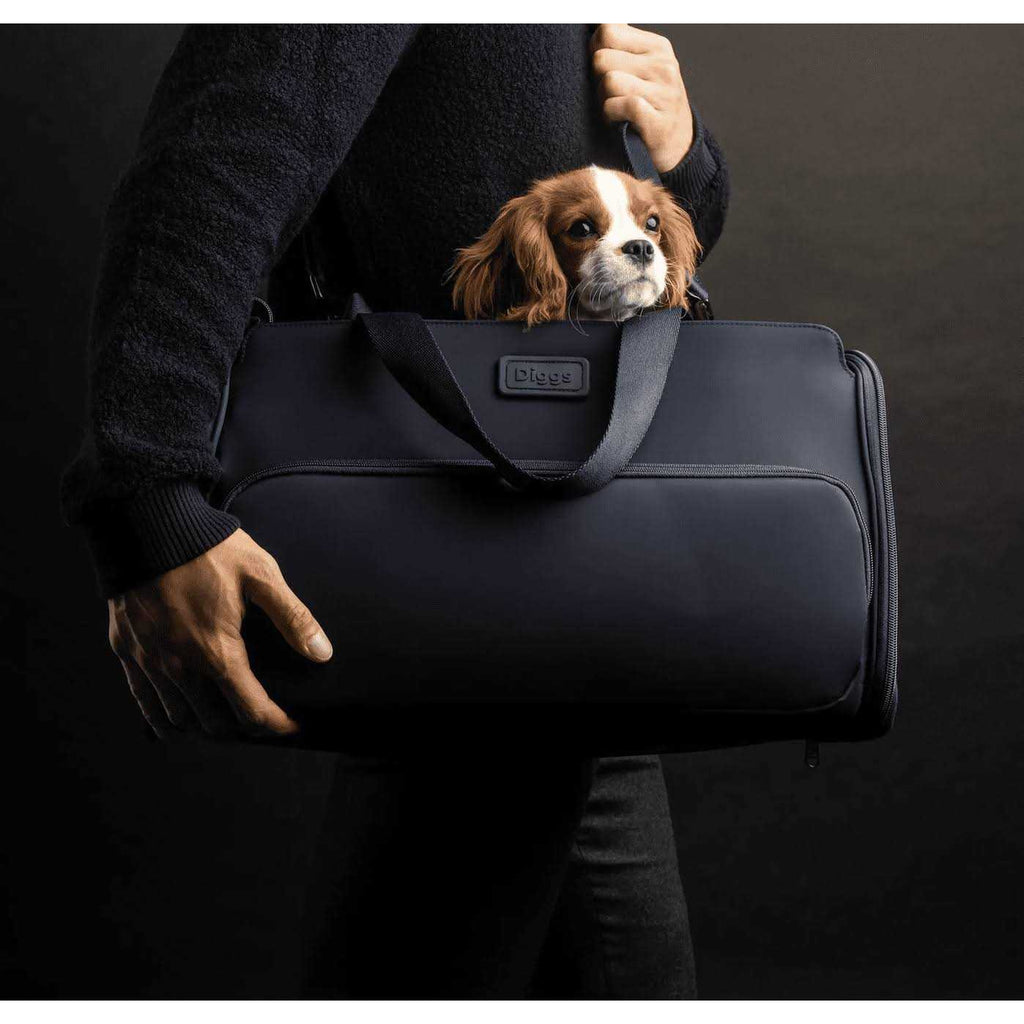 Travel Pet Carrier for Small Dogs and Cats V964