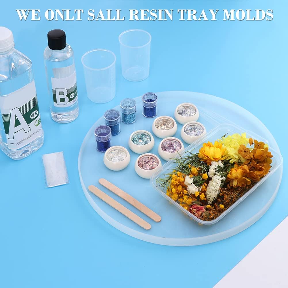 Round 11.8 Inch Silicone Tray Molds W349