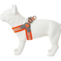 Dog Harness R501301