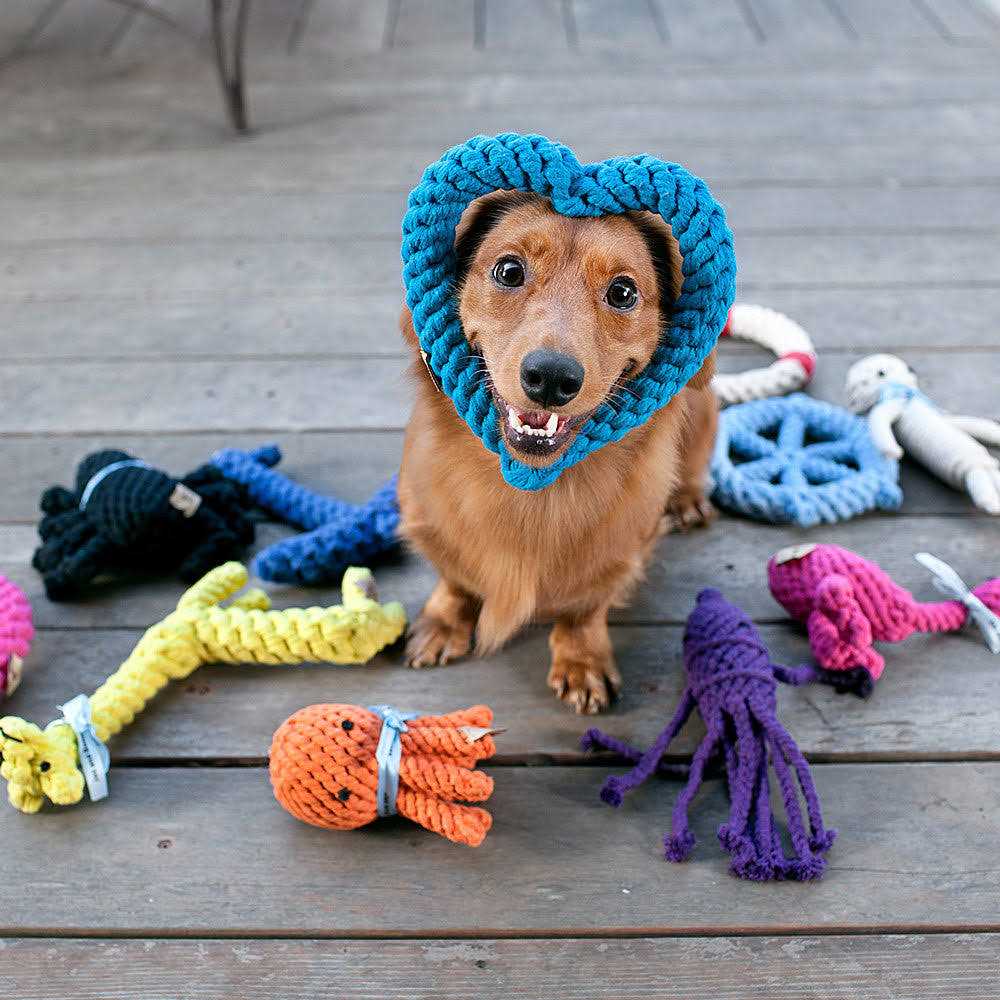 Rope Dog Toy S169107