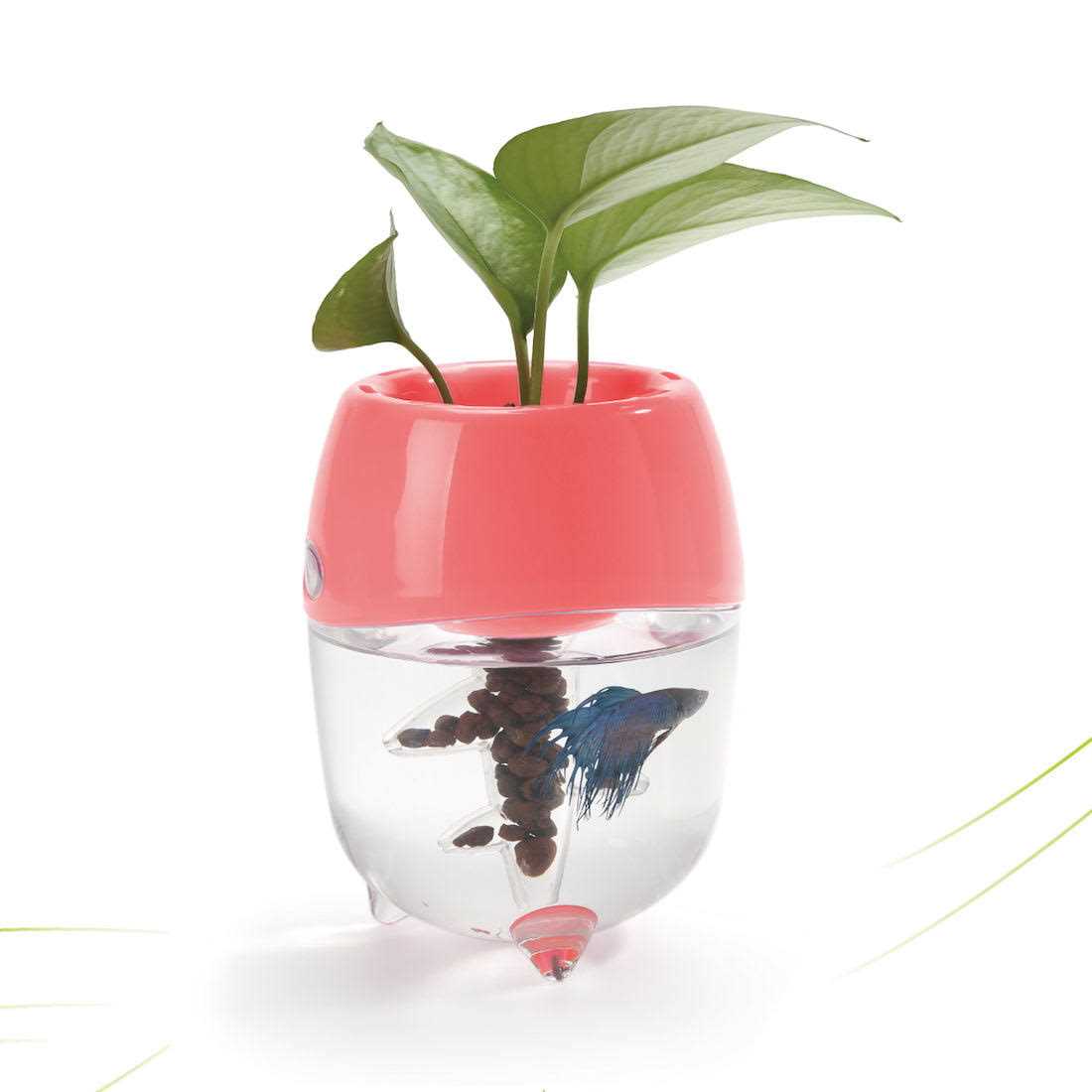 Aquaponic Fish Tank Aquarium with Water Garden Planter Top Lid E904