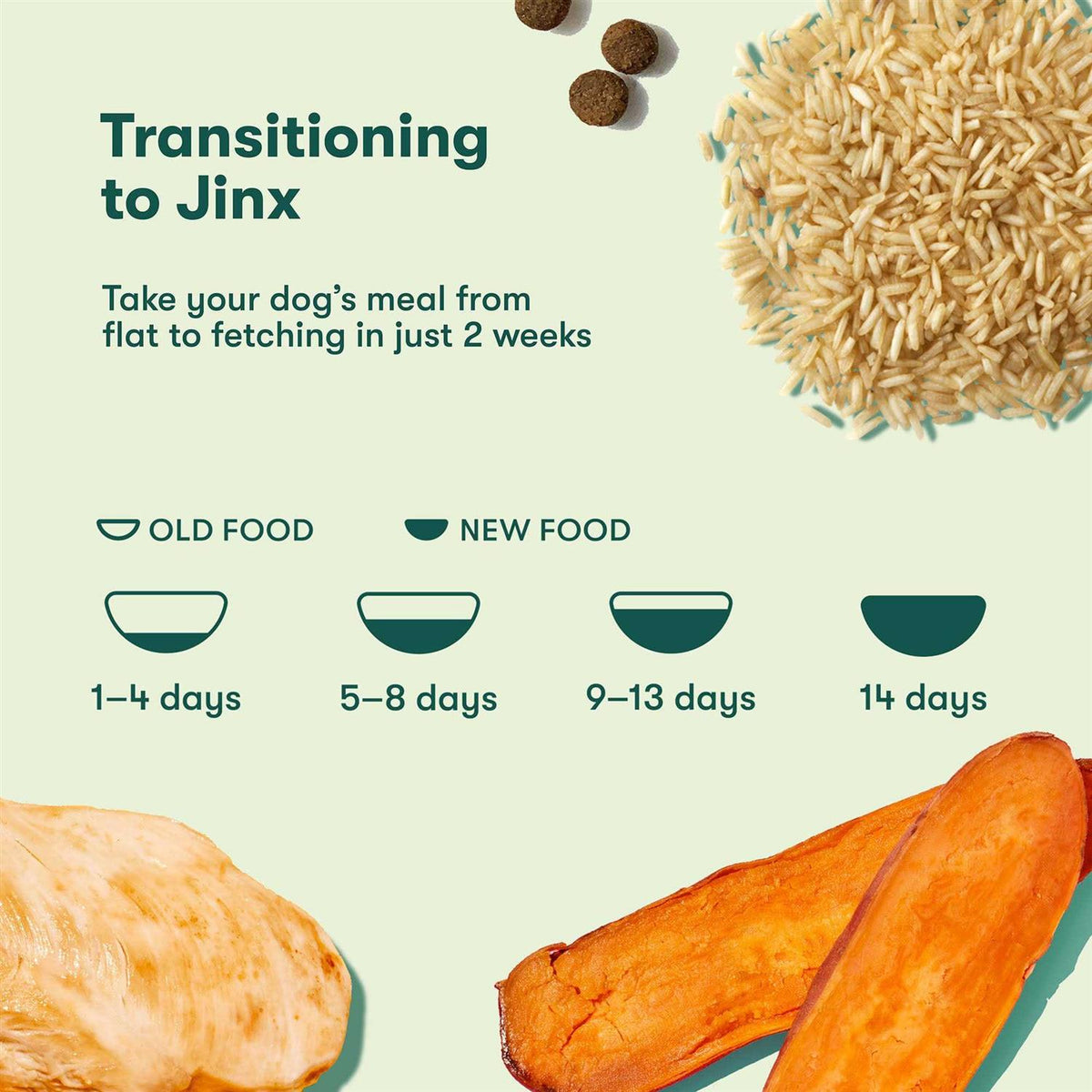 Brown Rice & Sweet Potato Dry Dog Food M415958