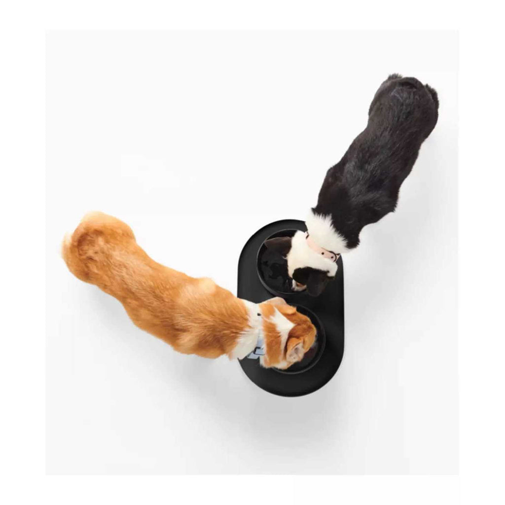 Dog Bowl Mat J765387