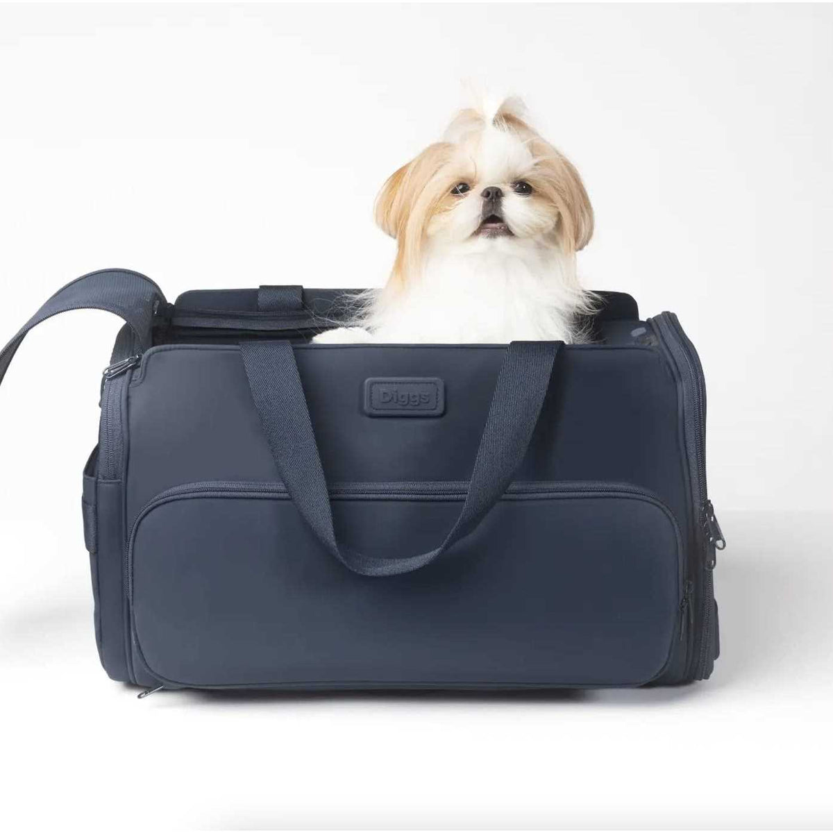 Travel Pet Carrier for Small Dogs and Cats V964
