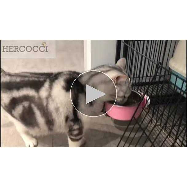 Removable Stainless Steel Dog Crate Bowl V40848