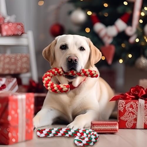 24 Pieces Christmas Dog Rope Toys Y88318