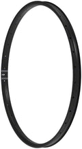 Black 29" Disc Rim N205