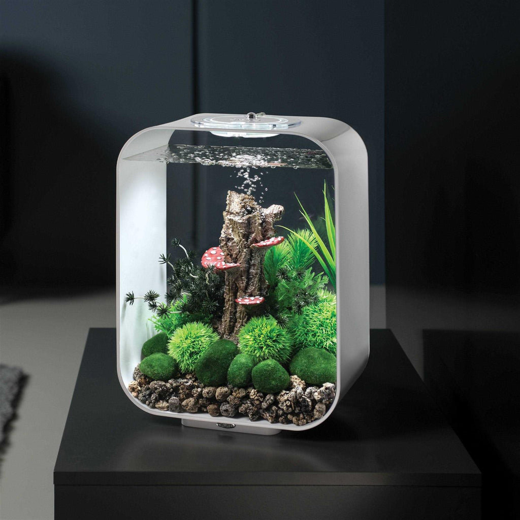 15 Aquarium with MCR Light Z84530