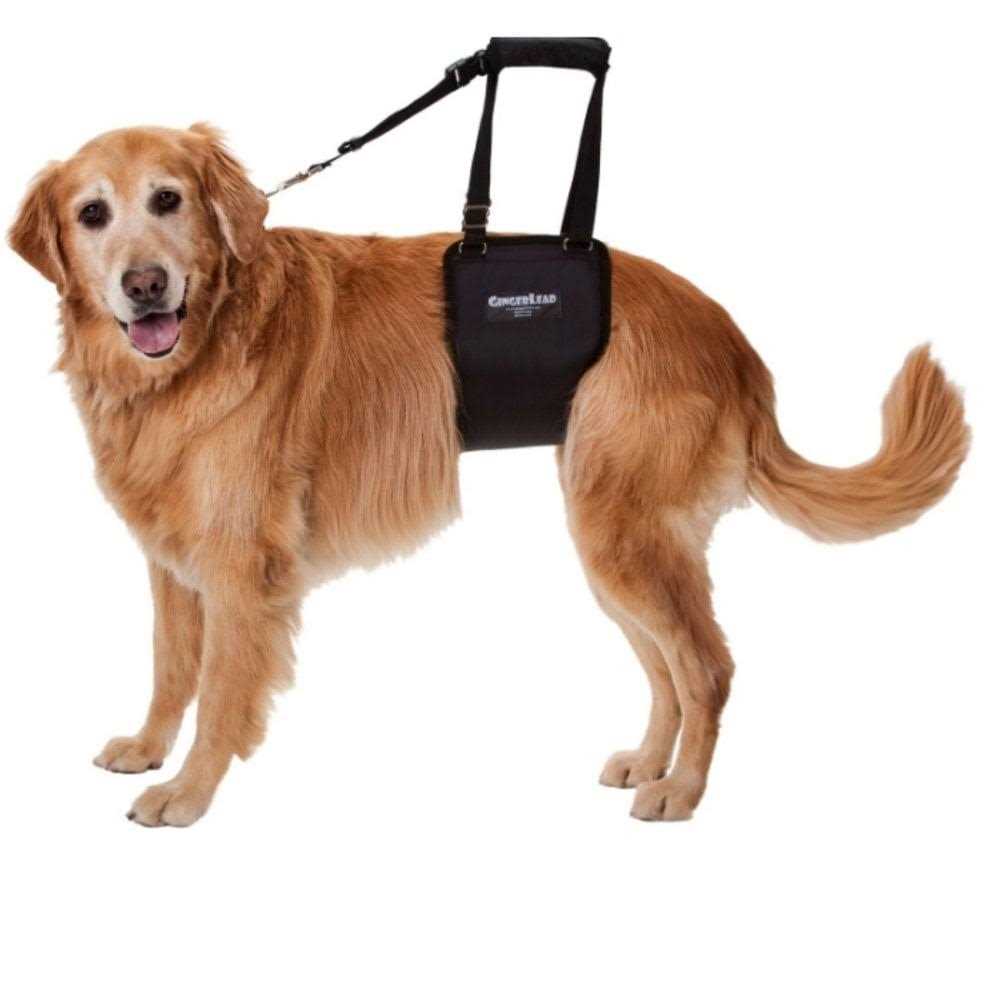 Dog Support Rehabilitation Harness D802385