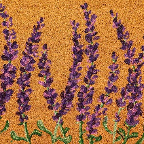 Lavender Coir Door Mat 17x30 inches D149694