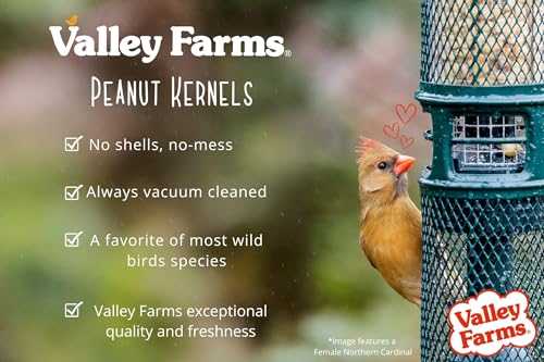 Whole Peanut Kernels Wild Bird Food 4 LB R1681