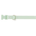 Dog Collar D82825