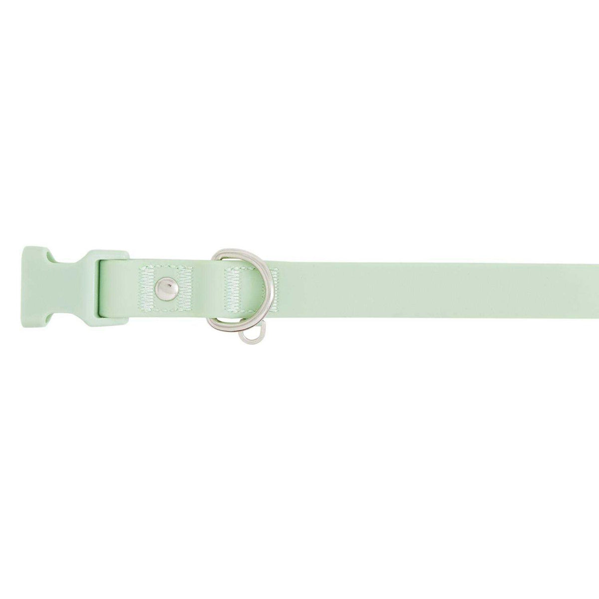 Dog Collar D82825