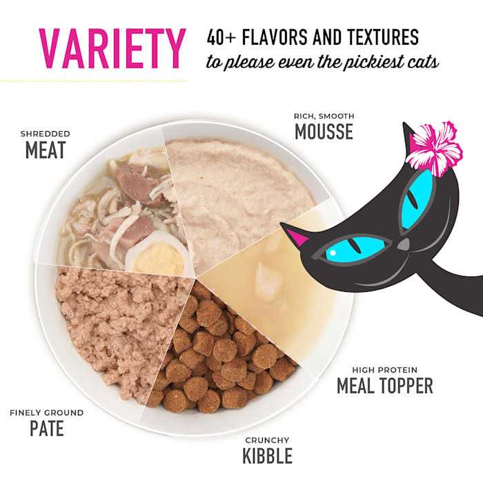 Tiki Cat Velvet Mousse Senior Salmon Wet Food B575