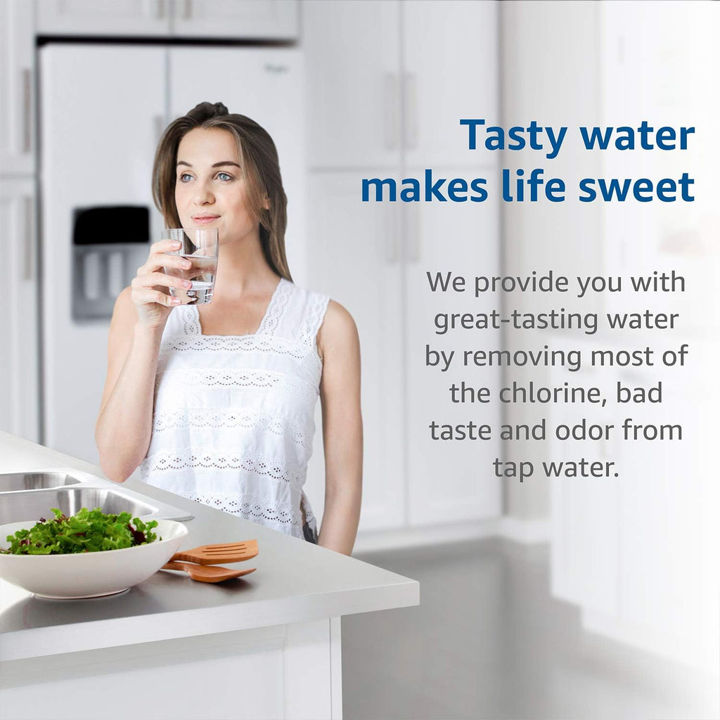 Water Filter Cartridge, pack of 2 L344