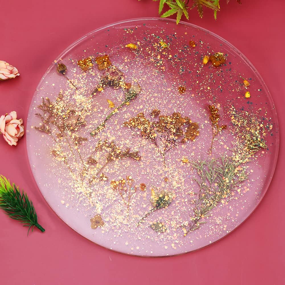 Round 11.8 Inch Silicone Tray Molds W349