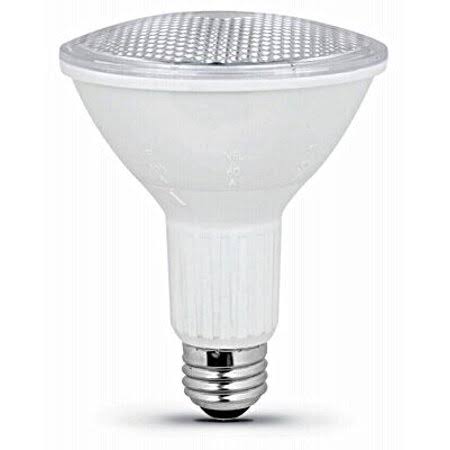 LED PAR38 Adjustable Beam Bulb W118