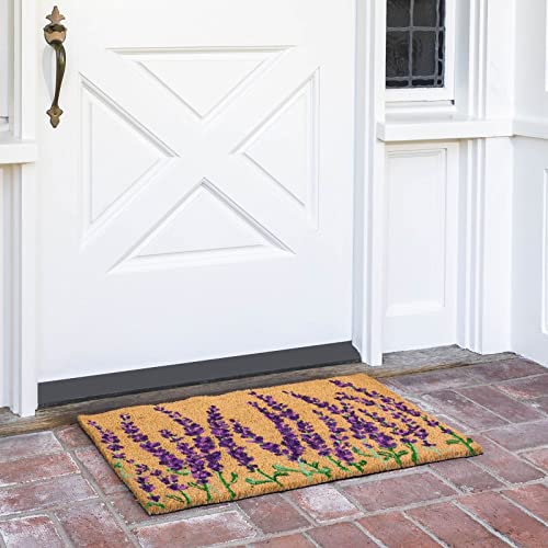 Lavender Coir Door Mat 17x30 inches D149694