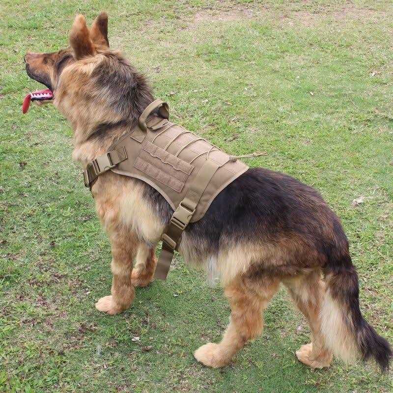 2X Metal Buckle Dog Harness with Handle F109434
