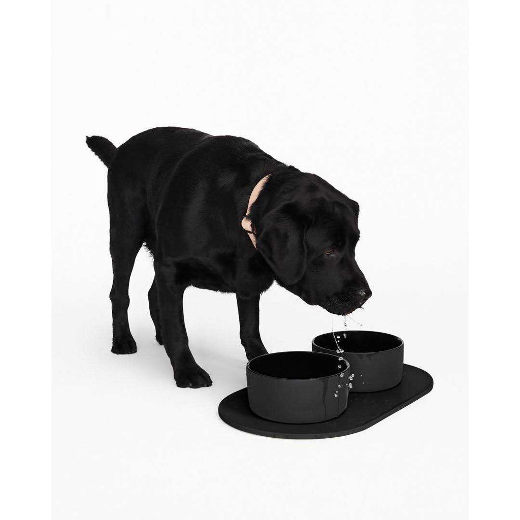 Dog Bowl Mat J765387