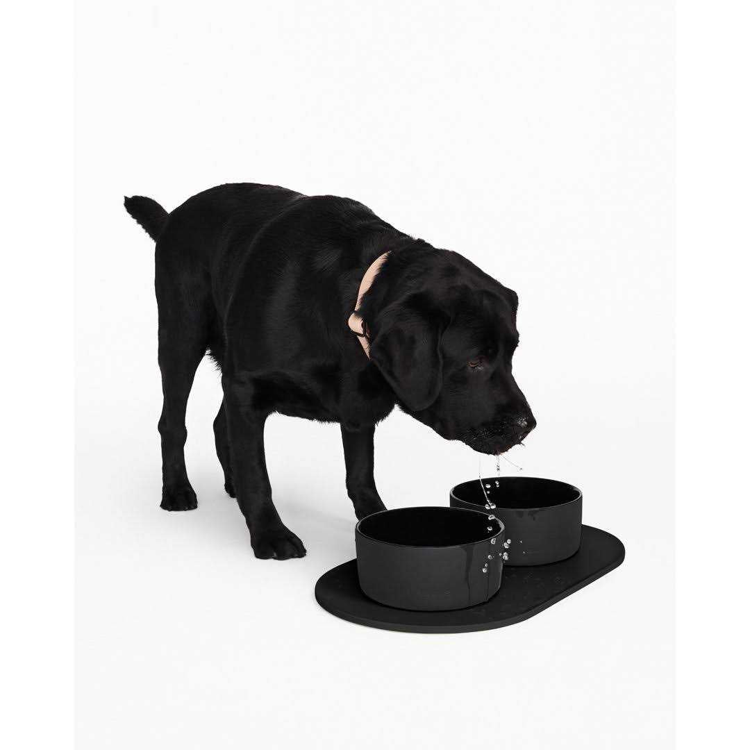 Dog Bowl Mat J765387