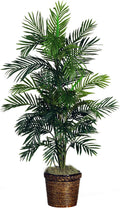 Areca Palm Silk Tree with Basket A89982