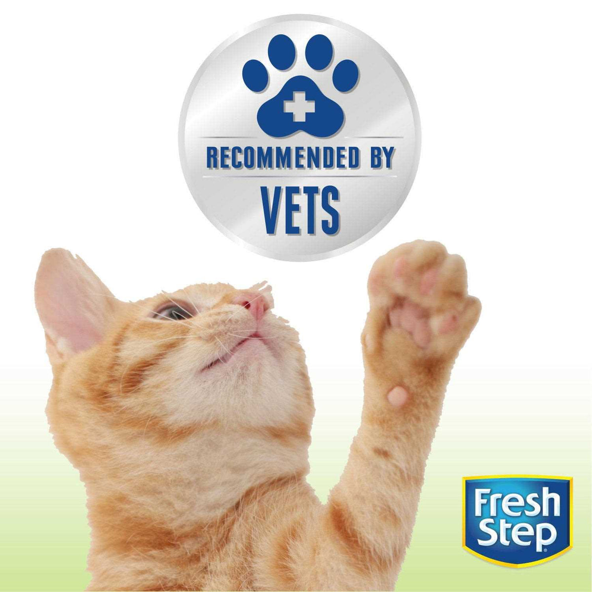 Unscented Cat Litter I25420