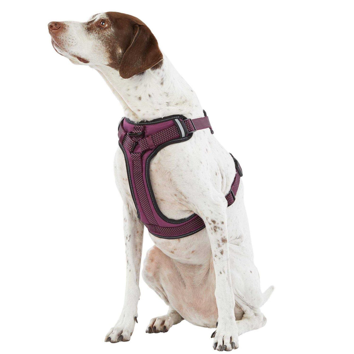 Reflective Dog Harness G790892