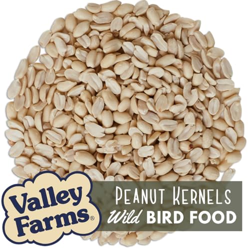 Whole Peanut Kernels Wild Bird Food 4 LB R1681
