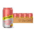 Strawberry Mango Sparkling Seltzer Water, 12 Pack, 12oz Cans W12794