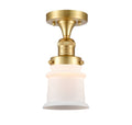 1 Light Semi-Flush Mount W548