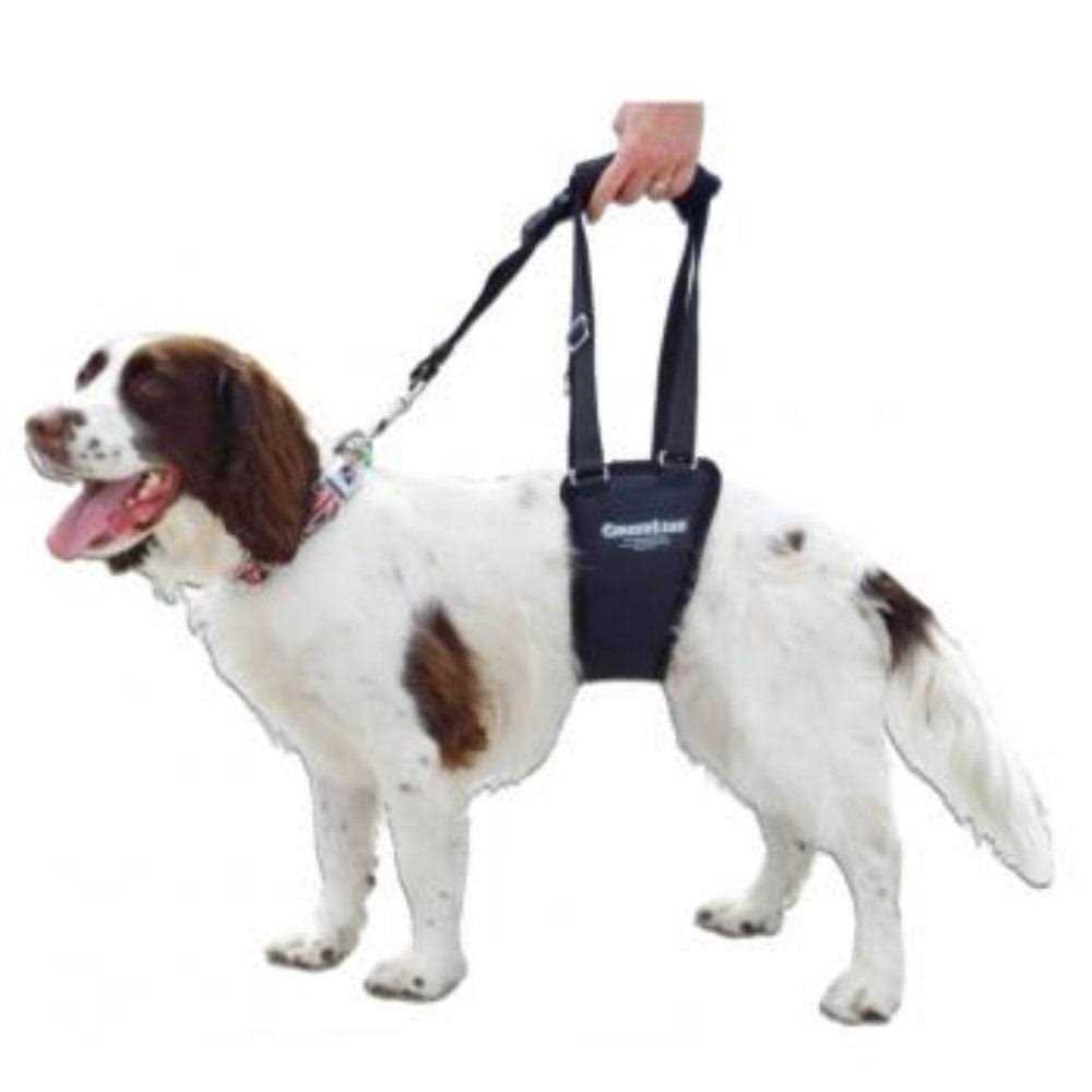 Dog Support Rehabilitation Harness D802385