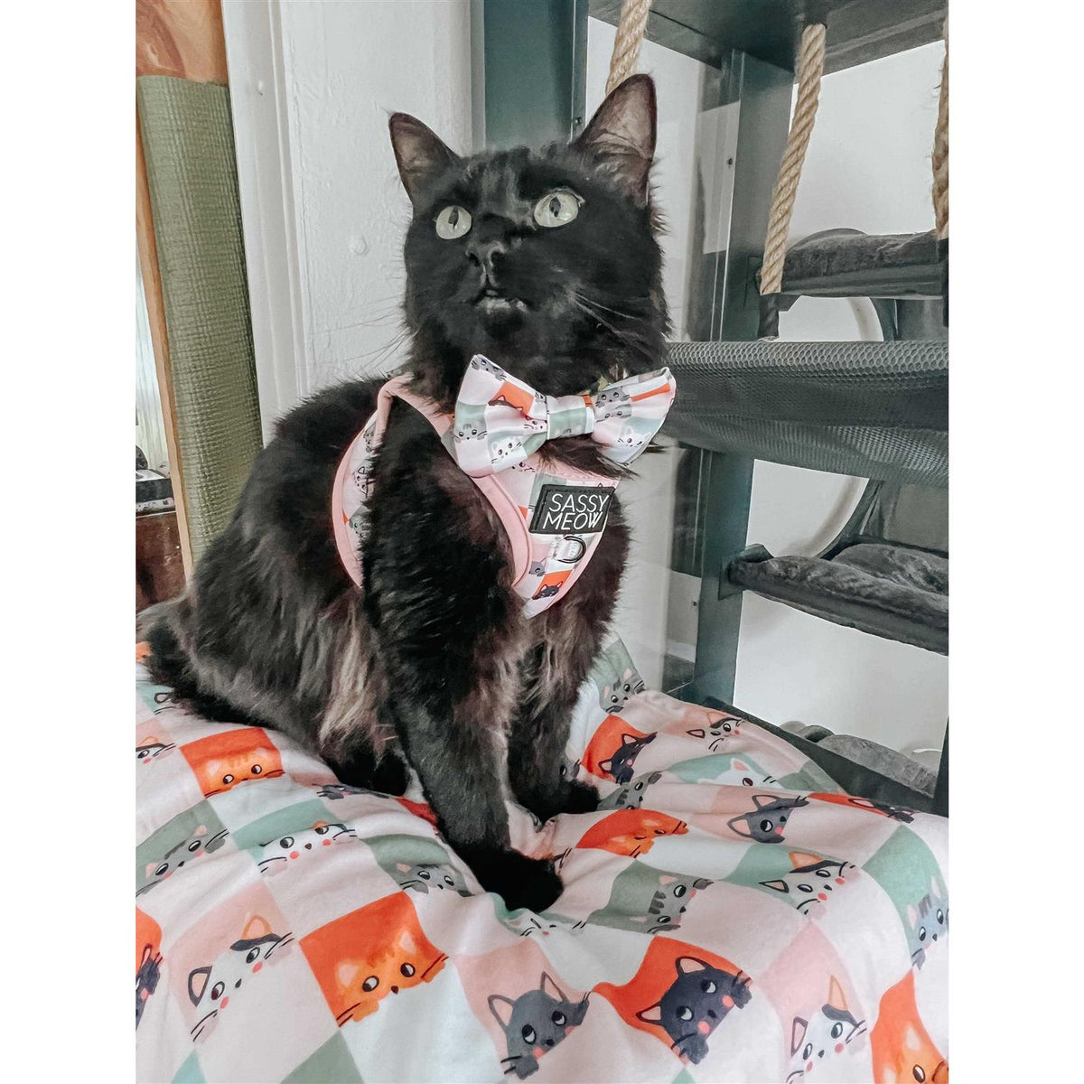 Step-In Harness Y7901