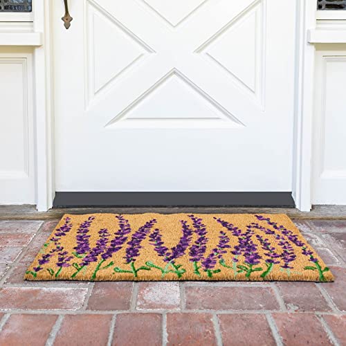 Lavender Coir Door Mat 17x30 inches D149694